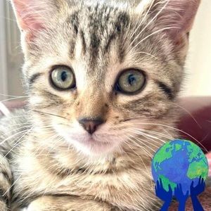 Meet your Posher, Suzanne